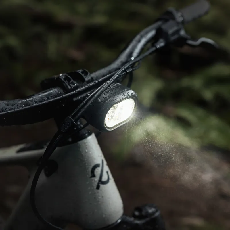 Amflow PR Carbon Pro Electric Mountain Bike-4
