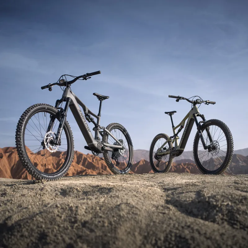 Amflow PR Carbon Pro Electric Mountain Bike-6