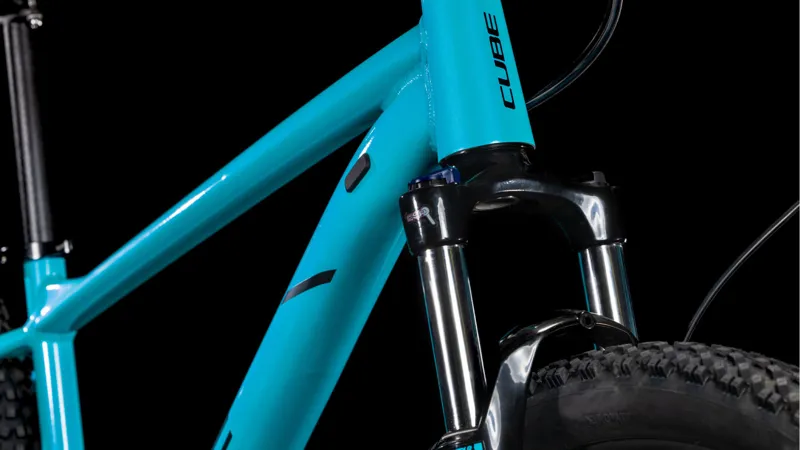 Cube Aim Race Hardtail Mountain Bike in Swimming Pool/Black-4