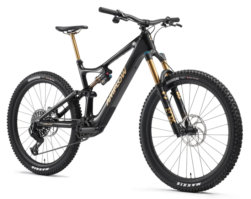 Amflow PL Carbon Pro 800wh Electric Mountain Bike-1