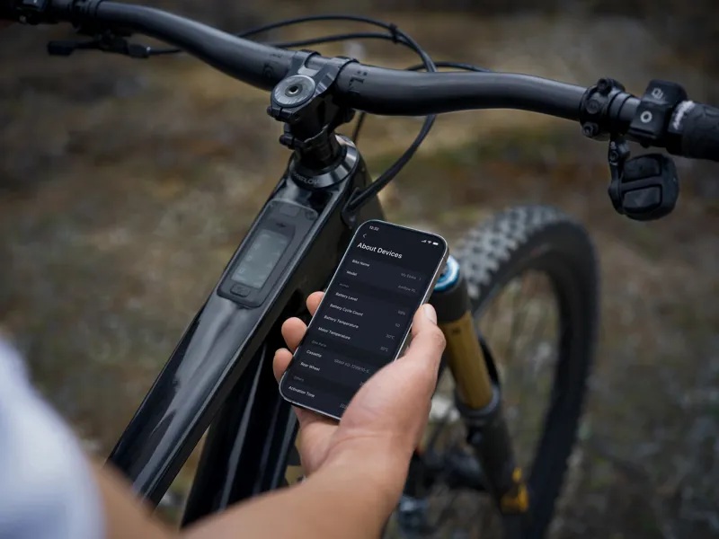 Amflow PL Carbon Pro 800wh Electric Mountain Bike-2