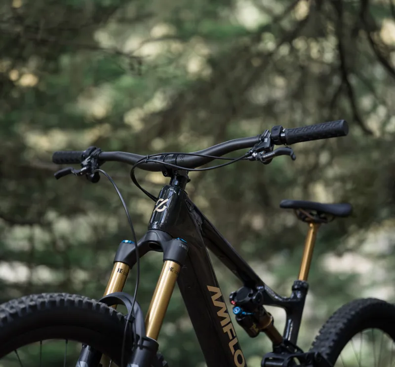 Amflow PL Carbon Pro 800wh Electric Mountain Bike-3