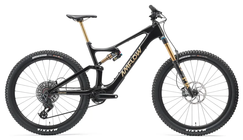 Amflow PL Carbon Pro 800wh Electric Mountain Bike