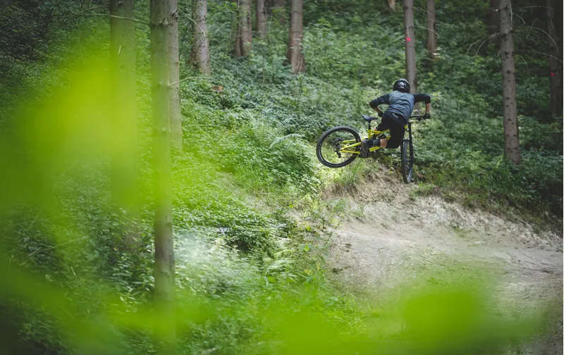 2020 Saracen Myst AL Downhill Mountain Bike-7