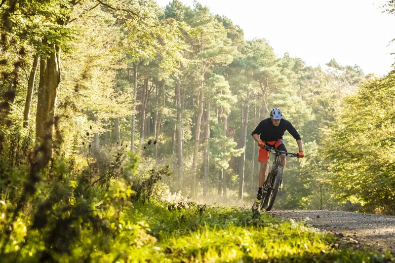 2019 Whyte 629 29er Mountain Bike-4