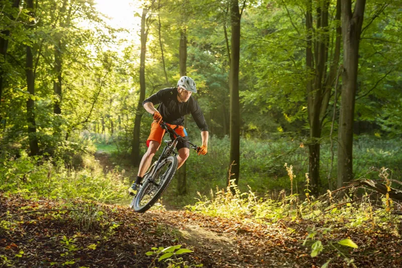 2019 Whyte 629 29er Mountain Bike-7