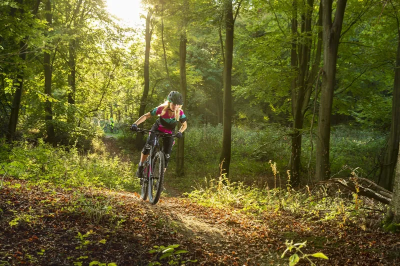 2019 Whyte 806 Compact Mountain Bike-4