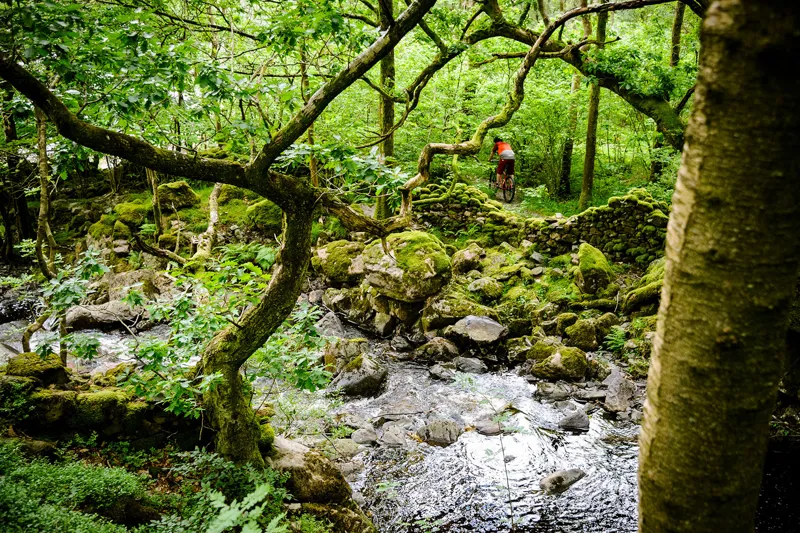 2018 Ridgeback MX3 Mountain Bike-3