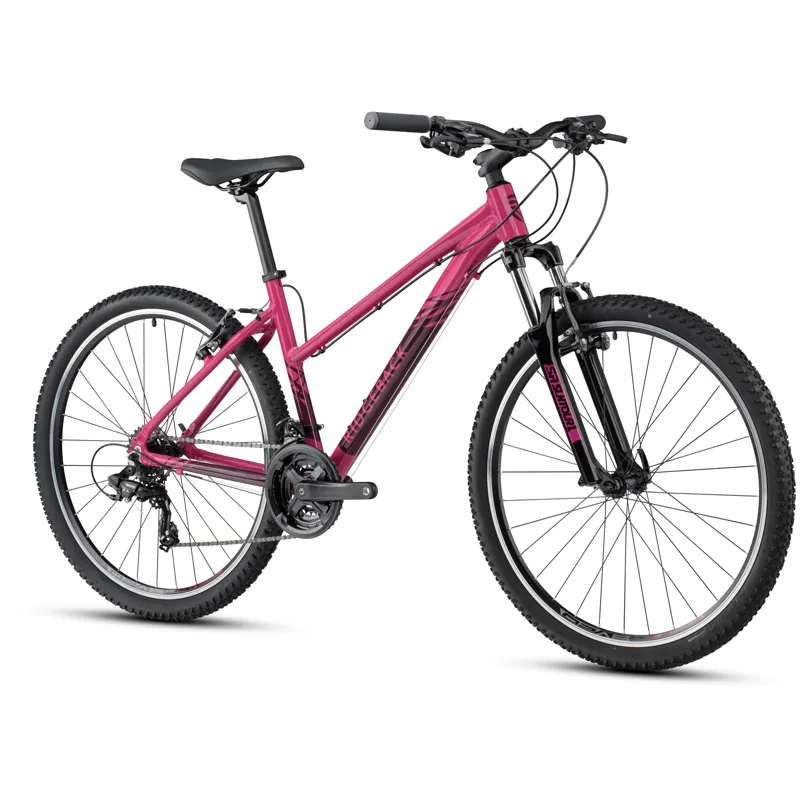 Ladies mountain bike with basket deals